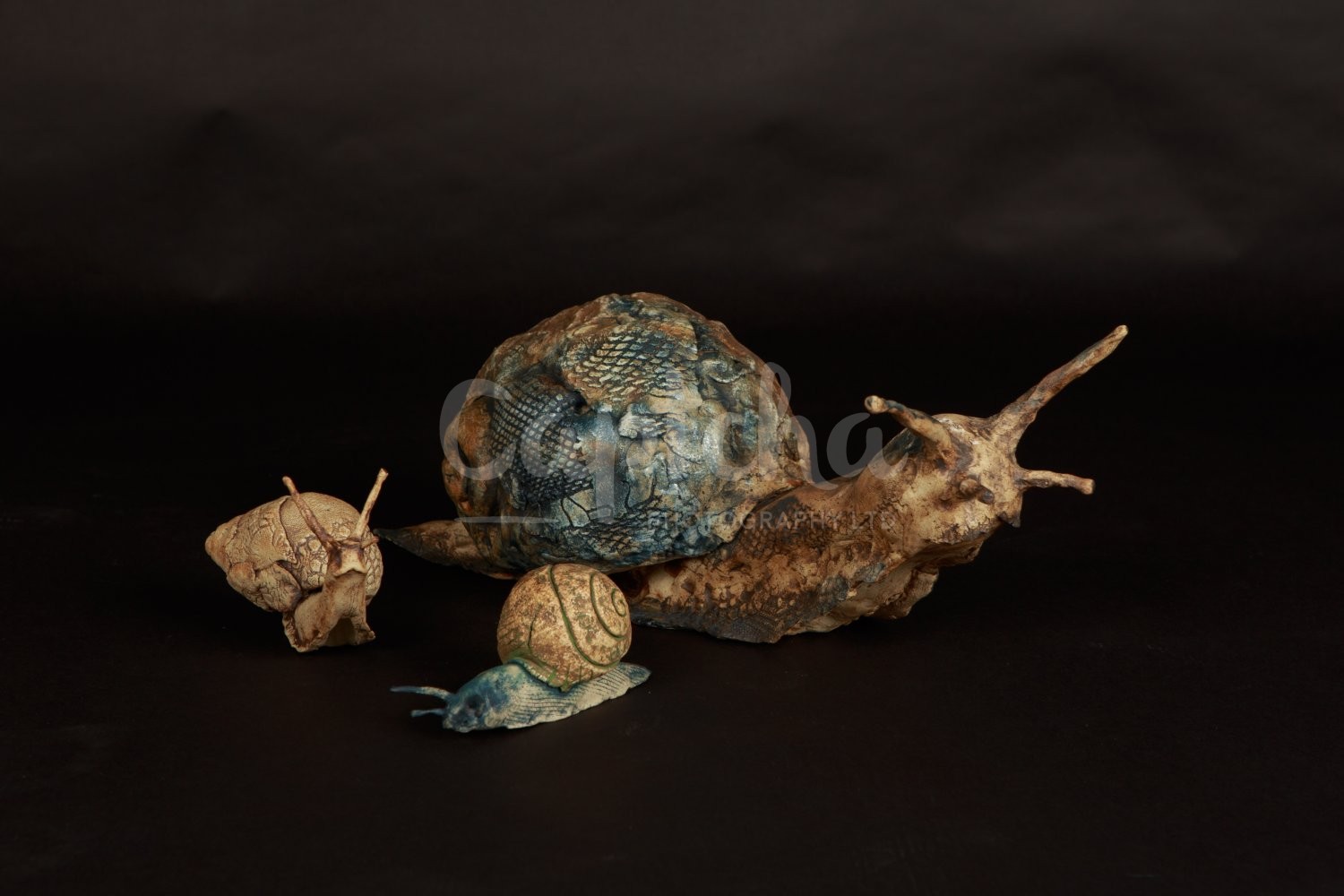Ceramic Artist Sara Budzik on snails... 