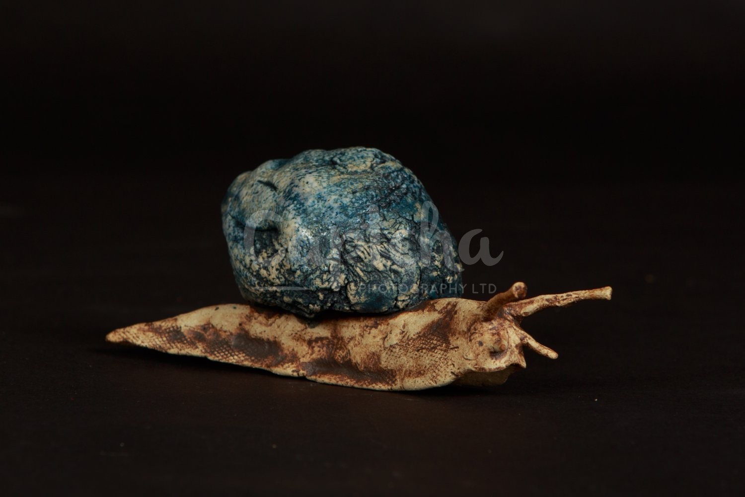 Ceramic Artist Sara Budzik on snails... 