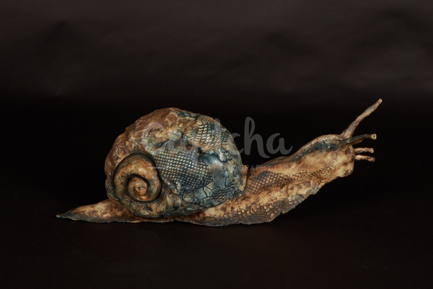 Ceramic Artist Sara Budzik on snails... 