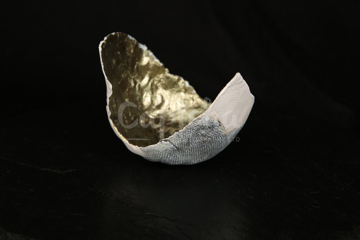 Ceramic Artist Sara Budzik on snails... 