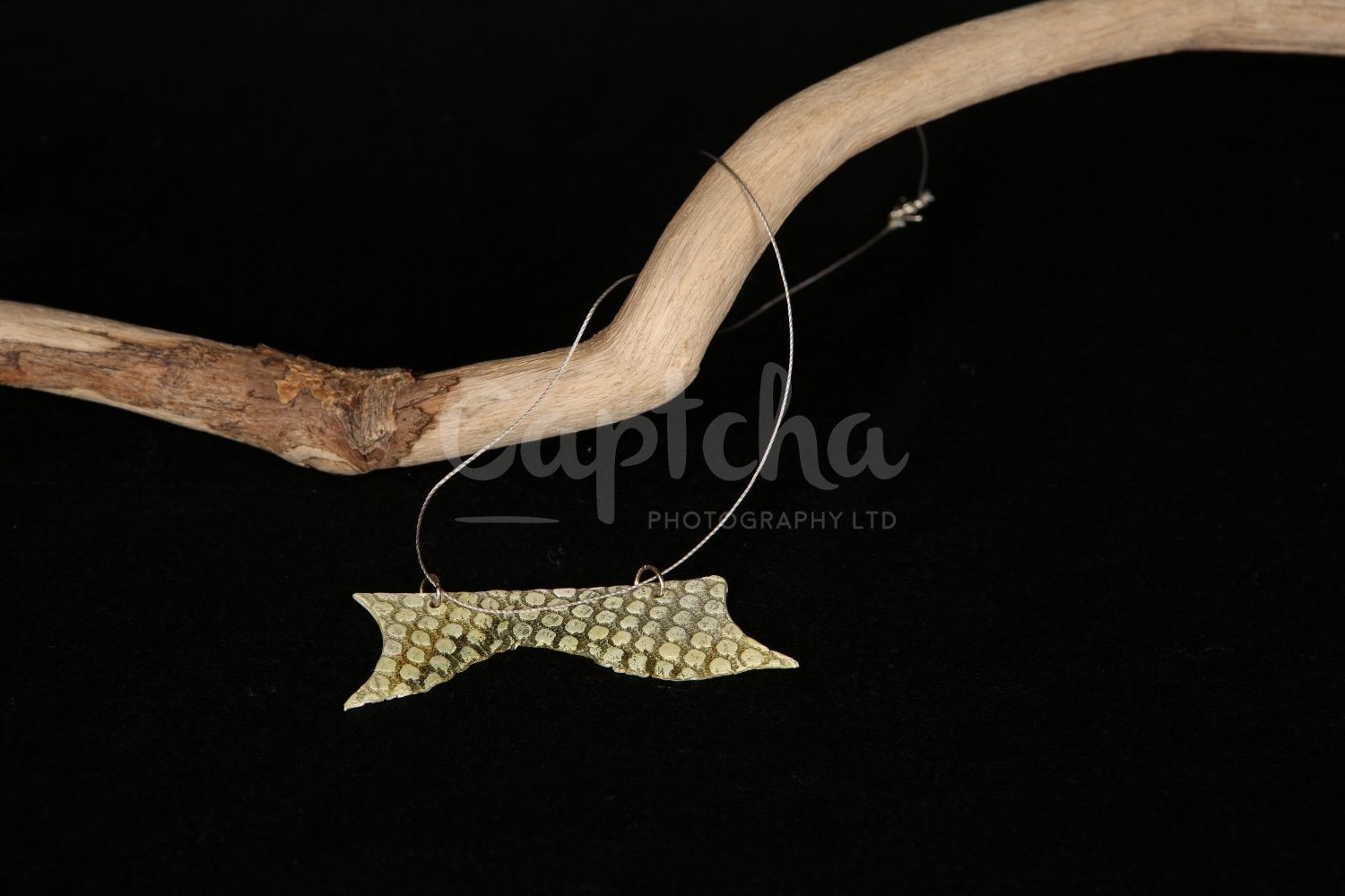 Ceramic Artist Sara Budzik on snails...