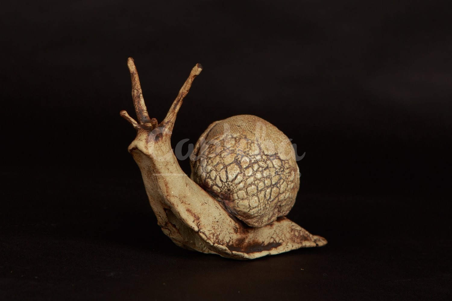 Ceramic Artist Sara Budzik on snails... 