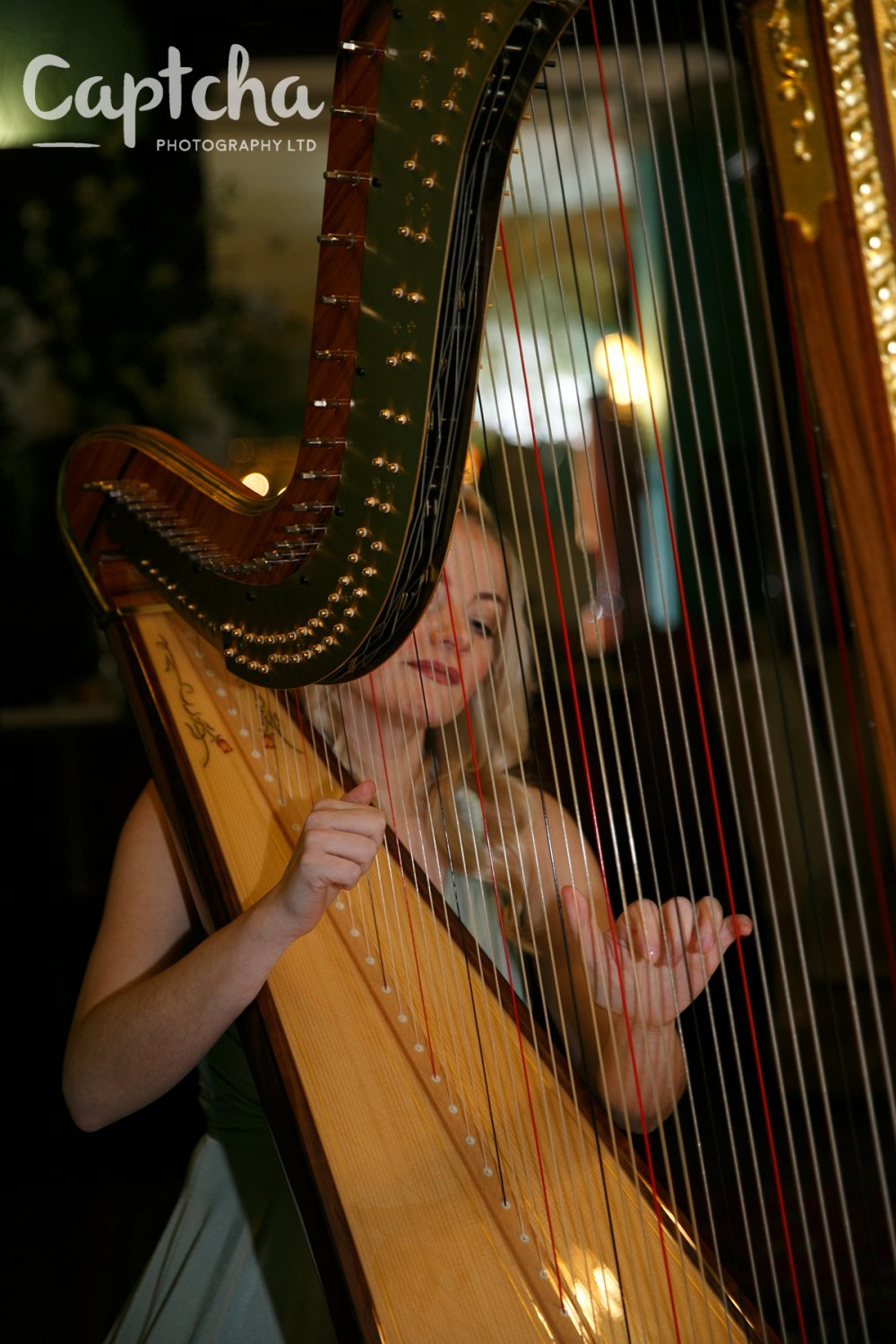 If music be the food of love...