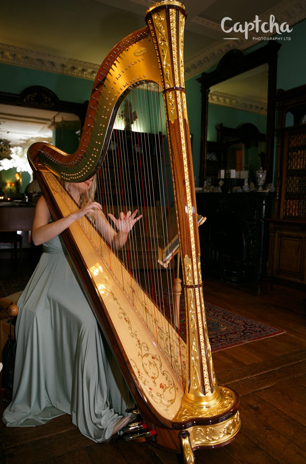 If music be the food of love...