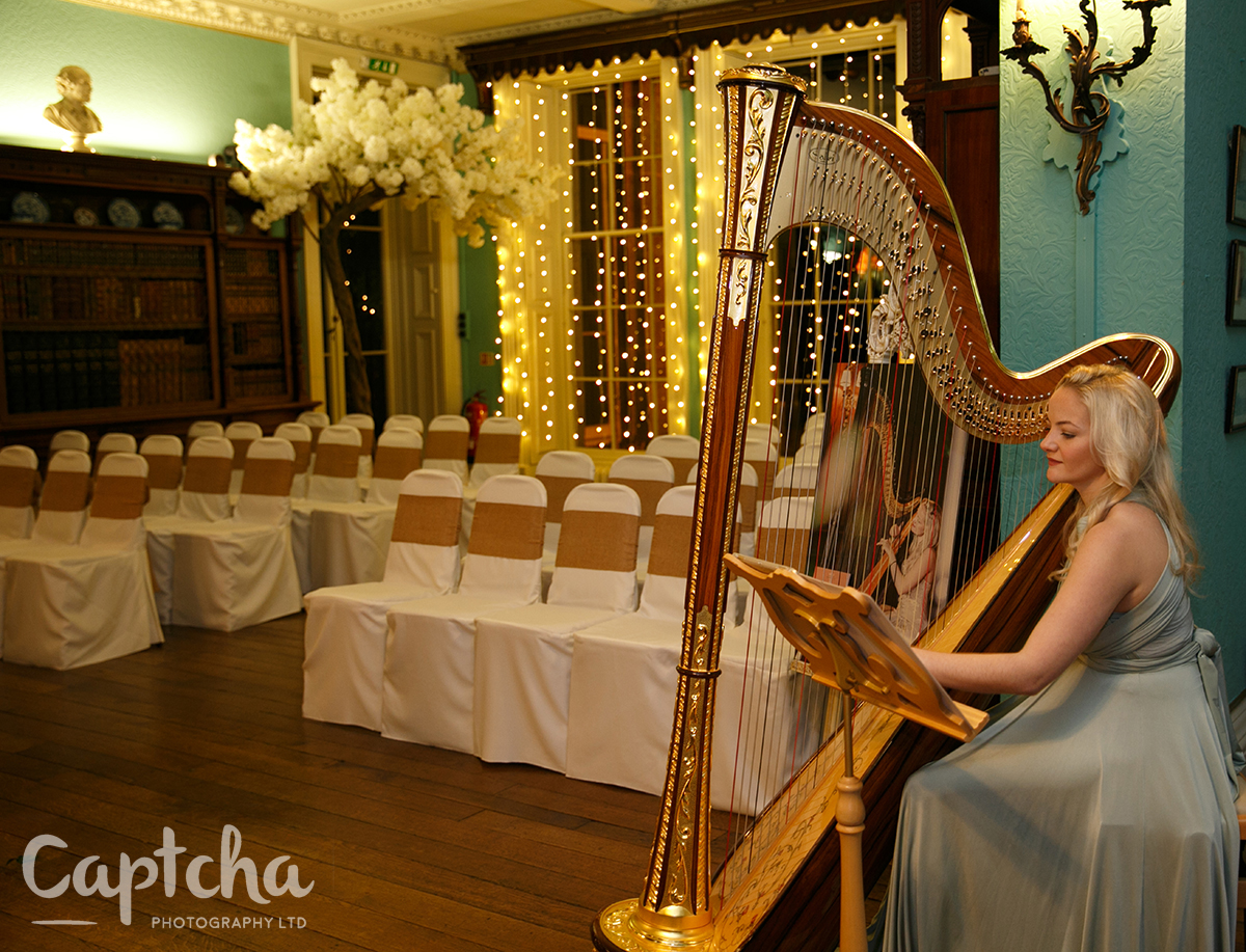 If music be the food of love...