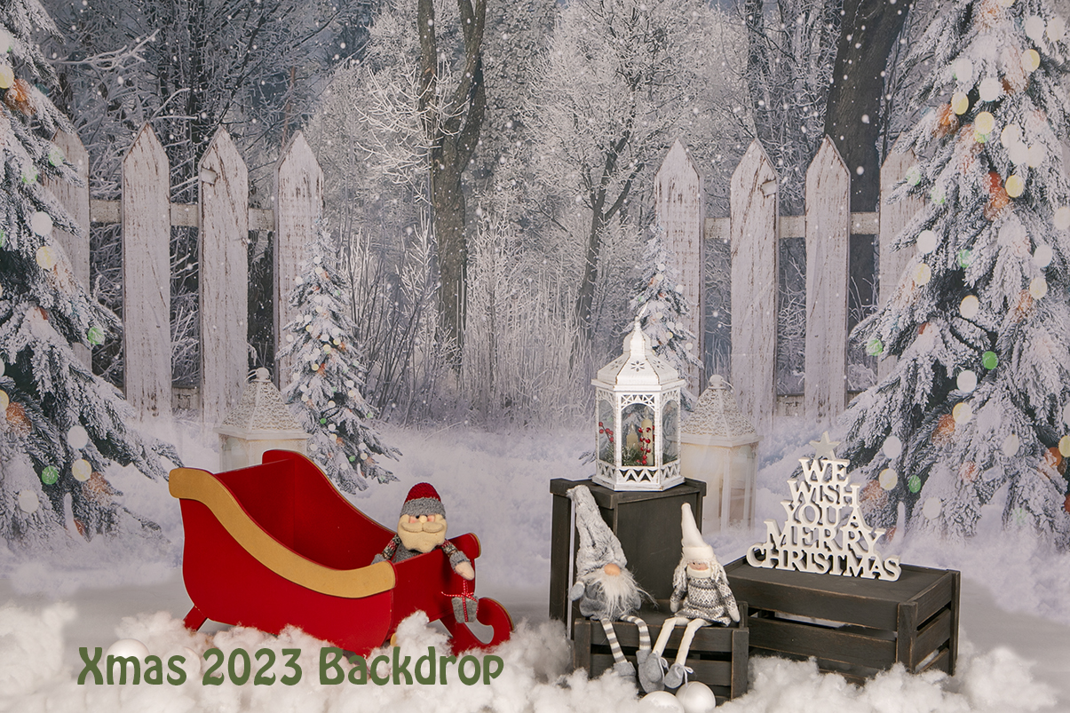 Xmas & Themed Backdrop Ideas - Captcha Photography & Portrait Studio