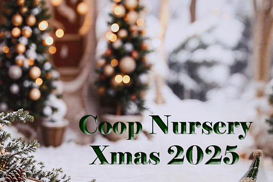 Coop Nursery Xmas