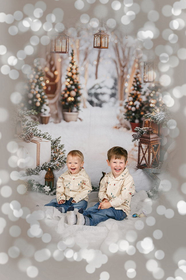 Free Studio Shoots During 2026 | plant2512_010_Bokeh.jpg