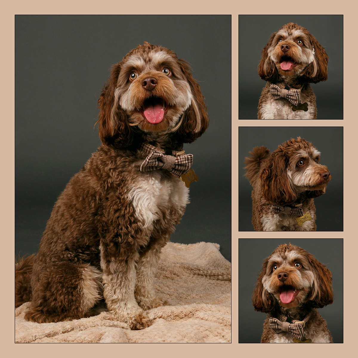 Free Studio Shoots During 2026 | Elvis2507_DG_Page007.jpg