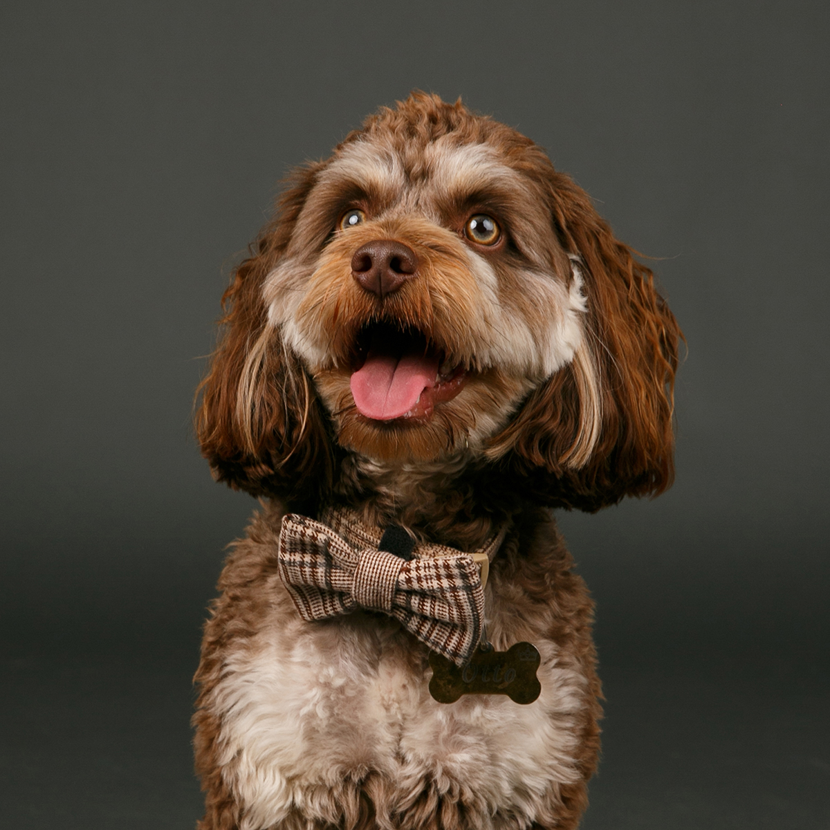 Free Studio Shoots During 2026 | Elvis2507_87_Square.jpg