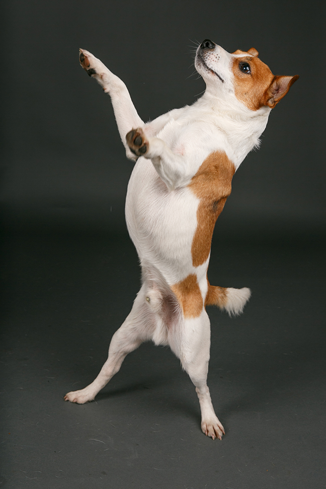 Free Studio Shoots During 2026 | Fliss2511_104.jpg