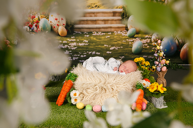 Free Studio Shoots During 2026 | JH4A2887.jpg