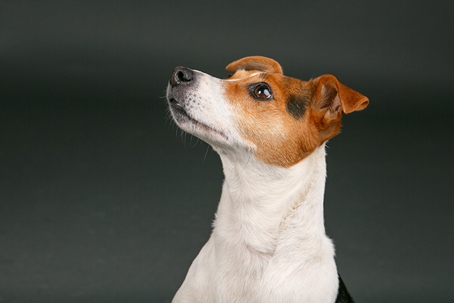 Free Studio Shoots During 2026 | Fliss2511_134.jpg